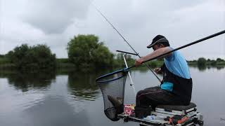 Barbel Fishing On The River Trent  Hectic Evening Session [upl. by Ollehcram831]