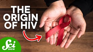 How HIV First Started in Humans [upl. by Erhard]