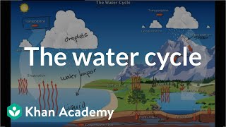 The water cycle  Ecology  Khan Academy [upl. by Buerger]