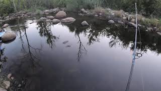 Fishing kaweah River three rivers CA [upl. by Assirrec]