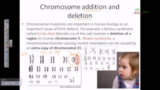 Chromosomal mutation [upl. by Atilrep]