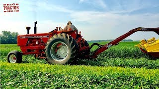 Classic TRACTORS Making Hay [upl. by Ynafit]