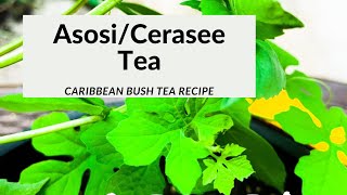 AsosiCerasee Tea Caribbean Bush Tea Recipe [upl. by Herahab433]