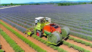 Lavender harvest in round bales  Valensole France  Unique self propelled harvester [upl. by Alrich]