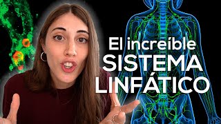 El increíble y olvidado SISTEMA LINFÁTICO [upl. by Aitnuahs551]