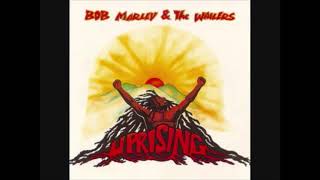 2 Real Situation  Bob Marley UprisingVID [upl. by Secnirp]