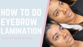 Eyebrow Lamination Tutorial Step By Step Brow Lamination [upl. by Birdt]