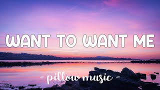 Want To Want Me  Jason Derulo Lyrics 🎵 [upl. by Killarney847]