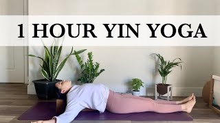 Yin Yoga Class With Props  1 Hour All Levels Practice [upl. by Hough530]