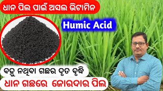 Humic Acid Humic acid Fertilizer ଧାନ ପିଲ ପାଇଁ ଅସଲ vitamin [upl. by Azeret]