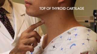 What is an Endocrinologist  The Thyroid Center  GBMC [upl. by Oirramed]