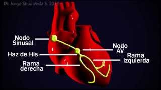 Electrocardiografía Básica Parte 34 [upl. by Suhploda]