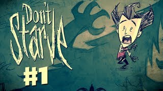 Dont Starve Together Character Guide Wendy [upl. by Hayotal953]