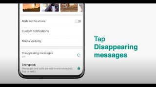 How To Send Disappearing Messages  WhatsApp [upl. by Llerruj]