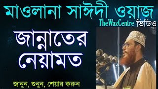 জান্নাতের নেয়ামত। Maulana Delwar Hossain Saidi Waz। [upl. by Imotih]