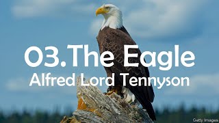 The Eagle by Alfred Lord Tennyson English Literature OLs poetry [upl. by Kleiman]