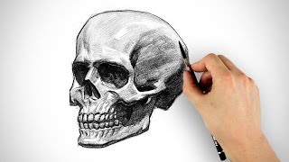 Draw a Skull  Halloween Special [upl. by Seko]