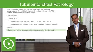 Tubulointerstitial Pathology – NephrologyFoundations  Lecturio [upl. by Ille912]