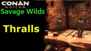 I Got Thralls in Savage Wilds  Conan Exiles [upl. by Aitetel]