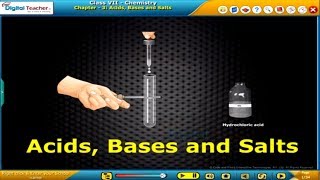 Acids Bases and Salts  Class 7 Chemistry CBSE  Digital Teacher [upl. by Artemis]