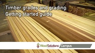 Timber grades and grading Getting started guide [upl. by Hauge]