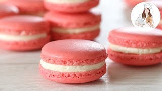 How to make Macarons  Perfect Macaron Recipe [upl. by Viguerie]