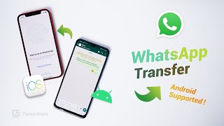 The EASIEST Way to Transfer WhatsApp from Android to iPhone 2020 Update [upl. by Nalrah]