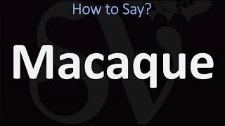 How to Pronounce Macaque CORRECTLY [upl. by Bound]