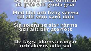 Den blomstertid nu kommer text [upl. by Khalsa29]