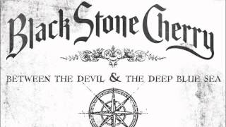 Black Stone Cherry  Such A Shame Audio [upl. by Nork967]