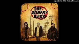 The Winery Dogs  Elevate [upl. by Derf343]