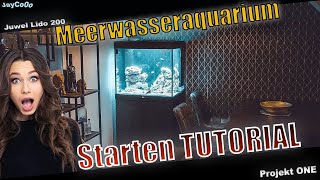 Start Meerwasseraquarium Anfänger  Die ersten Schritte  Mein XXL Aquarium [upl. by Gile]