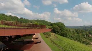 Antinori nel Chianti Classico Winery [upl. by Yrahcaz]