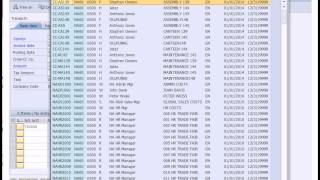 SAP Financial Accounting [upl. by Nylassej]