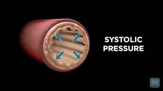 Low Diastolic Blood Pressure Symptoms [upl. by Htabmas398]