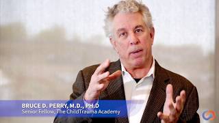 Dr Bruce D Perry on TraumaInformed Care [upl. by Roath]