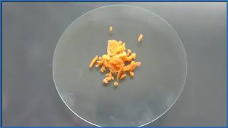 Decomposition of Hydrogen peroxide H2O2 [upl. by Arayk]