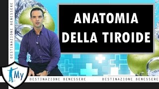 Anatomia della Tiroide [upl. by Aneeram834]