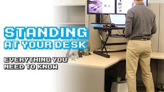 Standing Desks Everything You Need to Know [upl. by Ewell]