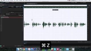 How To Process a Voice Over in Adobe Audition [upl. by Divan]