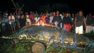 Lolong the Worlds Largest Crocodile found in the Philippines [upl. by Yggam366]