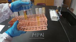 Most Probable Number MPN  Microbiology [upl. by Rexanna]