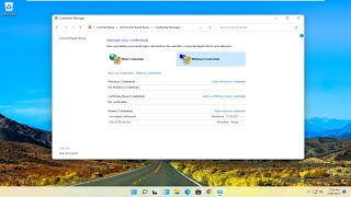 Windows 11 Mouse Settings [upl. by Granese]