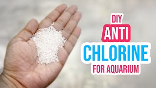 DIY Anti Chlorine How to Remove Chlorine from Tap Water for Aquarium [upl. by Ataga]