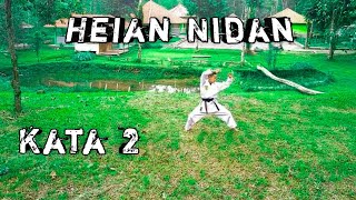 Heian Nidan Kata 2  Karate Technique [upl. by Alfi]