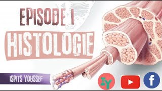 Episode 1HistologieLe tissu épithélial [upl. by Stets]