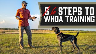 The Complete Guide To Whoa Training  Every Single Step [upl. by Meerek]