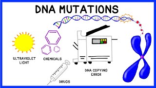 DNA Mutations [upl. by Nabila478]