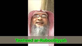 Three types of Tawheed Tawheed Ruboobiya Tawheed Uloohiya Tawheed Asma wa Sifat  Assim al hakeem [upl. by Soraya]