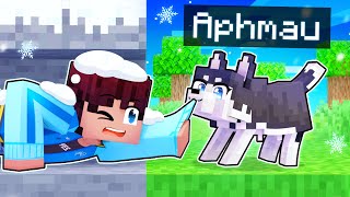 Playing As A BRAVE Husky In Minecraft [upl. by Airaet]